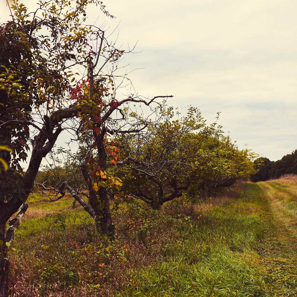 09_20161004S1_BOUTIQUE_HOTEL_HASBROUCK_HOUSE_OUTDOOR_028.jpg